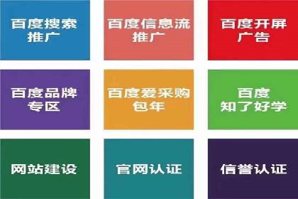 百度广告推广案例解析